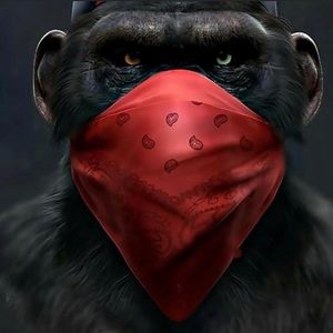 Meet your Posher, Don